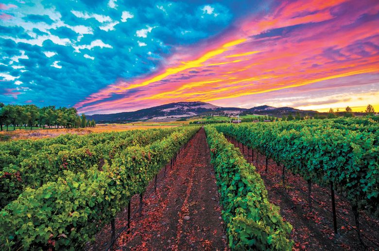 Sunset over Bradley Vineyards. ##Photo provided by Bradley Vineyards