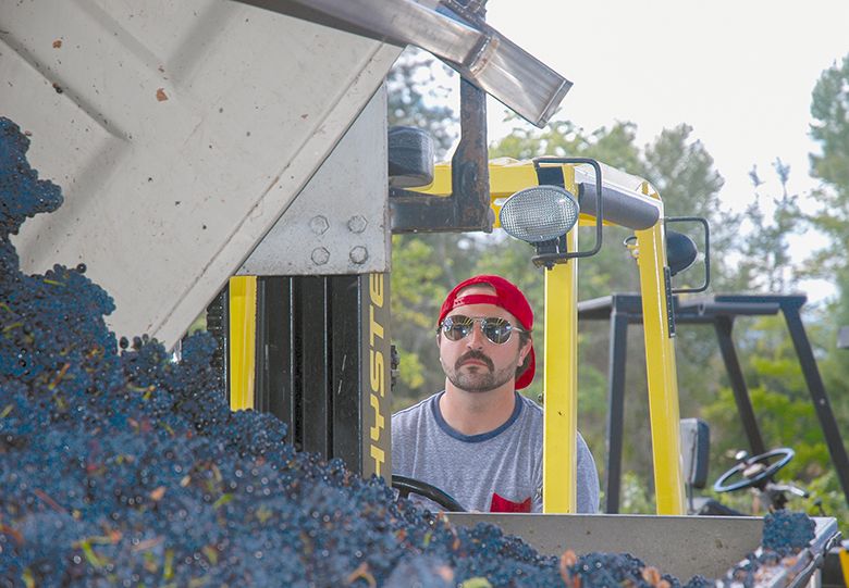 Tyler Bradley operating a forklift at Bradley Vineyards. ##Photo provided by Bradley Vineyards Tyler Bradley operating a forklift at Bradley Vineyards. ##Photo provided by Bradley Vineyards