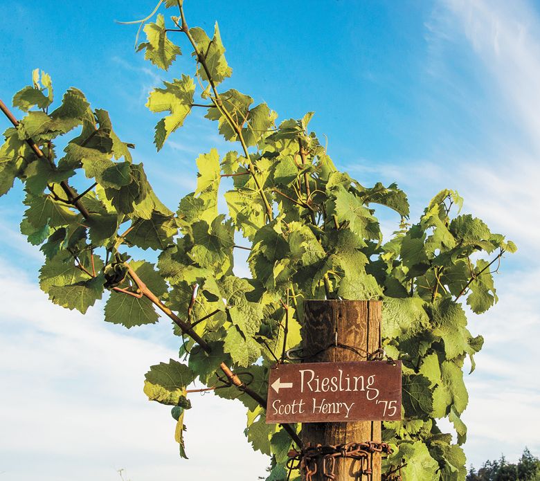 A vineyard sign marking the old vine Riesling grapevines in the Brooks Estate Vineyard, planted in 1975.##Photo by Andrea Johnson