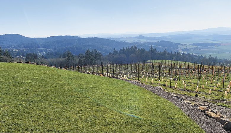 The view from Bryn Mawr Vineyards’ tasting room, located on one of the highest points in the Eola-Amity Hills AVA, 870 feet. ##Photo by Patty Mamula