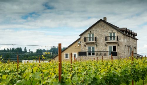 Vines surround the Björnson winery/tasting room in the Eola-Amity Hills AVA. ##Photo by Kathryn Elsesser