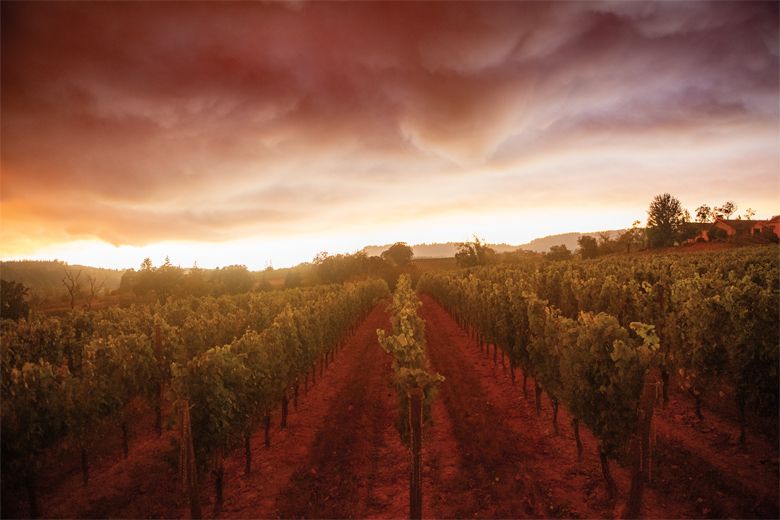 6:27 p.m.  Sept. 8: Wildfire smoke as it approached Belle Colline Vineyard, in the Willamette Valley’s Chehalem Mountains AVA. ##Photo by Carolyn Wells-Kramer