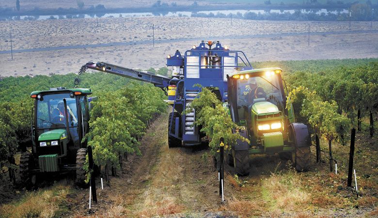 Mechanical harvesters pick fruit at Ste. Michelle’s Canoe Ridge Vineyard, Horse Heaven Hills AVA, Washington.##Photo by Andrea Johnson