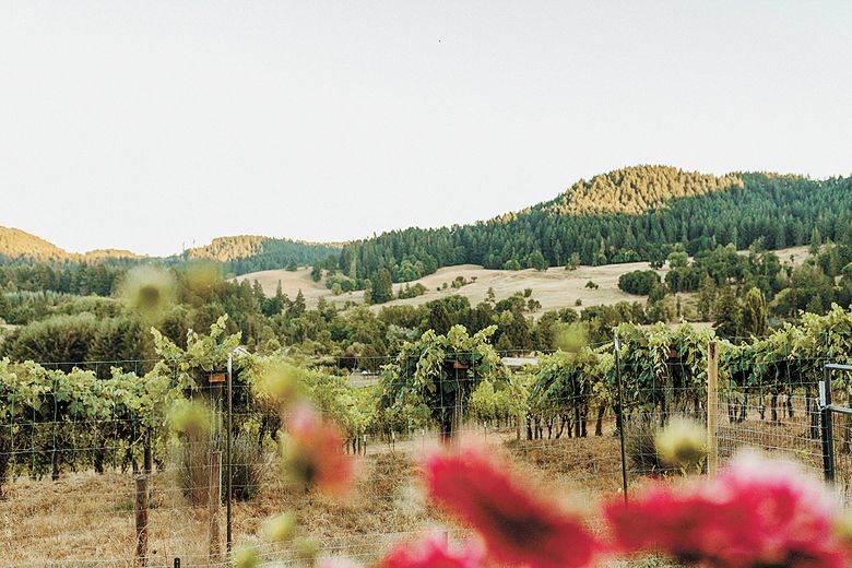 A look into what was once called Happy Valley by the locals from the Celestial Hill garden and overlooking Glenn Vineyard, planted in 2002.##Photo provided by Celestial Hill Vineyard