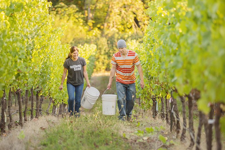 Two students working in the college vineyard. ## Photo provided by Chemeketa Community College Two students working in the college vineyard. ## Photo provided by Chemeketa Community College