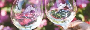 Glasses filled with Brooks white wine clicked in a cheers. ## Photo by Cheryl Juetten