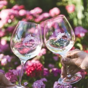 Glasses filled with Brooks white wine clicked in a cheers. ## Photo by Cheryl Juetten