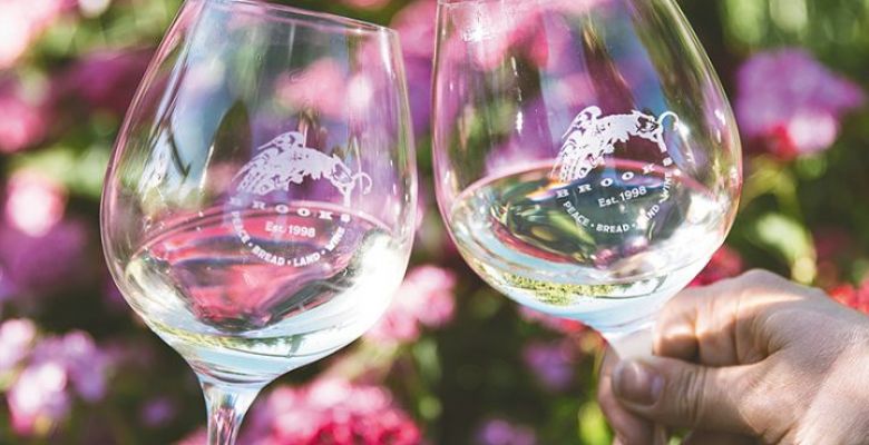 Glasses filled with Brooks white wine clicked in a cheers. ## Photo by Cheryl Juetten
