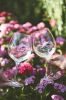 Glasses filled with Brooks white wine clicked in a cheers. ##Photo by Cheryl Juetten