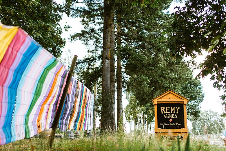 Tall evergreen trees grow near the sign for Remy Wines. ## Photo by Cheryl Juetten