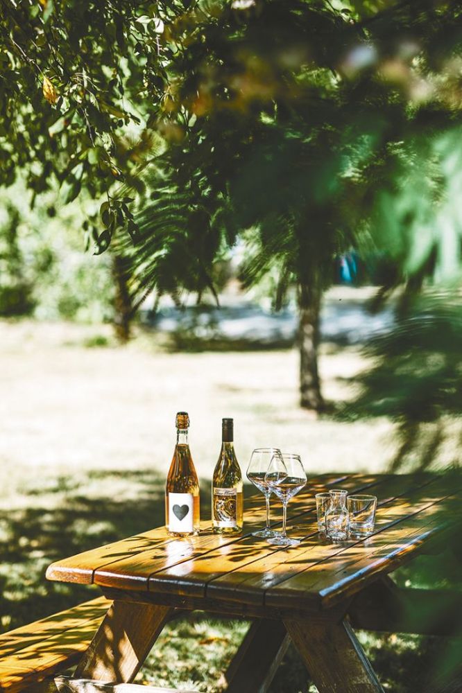 A picnic table set with wine and water glasses, as well as bottles of Remy Wines. ## Photo by Cheryl Juetten