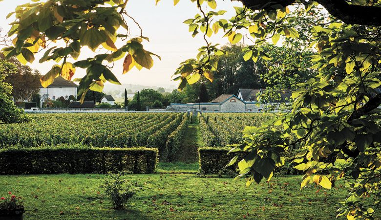 Lingua Franca co-founder Dominique Lafon’s home vineyard, Clos de la Barre, at Domaine des Comtes Lafon, Meursault, Burgundy. ##Photo by Kathryn Elsesser