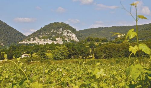 “Seguret is a few kilometers north of Gigondas, and the vines in the foreground are probably Grenache. We had stopped nearby at one of the best, informal country restaurants called Le Fleur Bleue for lunch after meeting producers in Gigondas. These amazing little medieval towns are clustered against every stony hillside in this part of Vaucluse, France.” - Steven Baker.Photo by Steven Baker