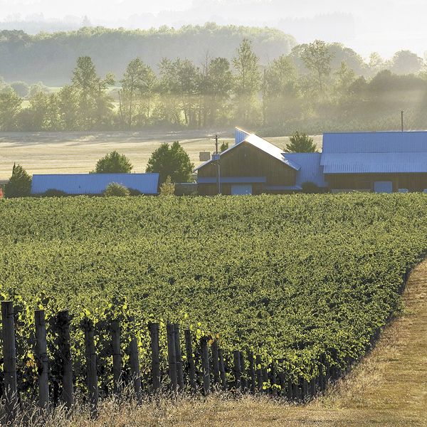 Benton-Lane is located in the southern portion of the greater Willamette Valley AVA.Photo by Andrea Johnson Benton-Lane is located in the southern portion of the greater Willamette Valley AVA.Photo by Andrea Johnson
