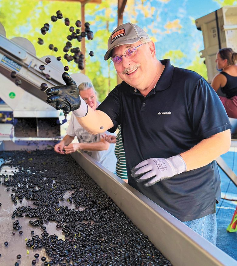 Troon&rsquo;s general manager, Craig Camp, sorting grapes. ## Photo provided by Troon Vineyard & Farm