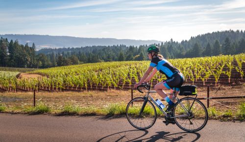 Tour
groups such as
Backroads bring
out-of-state travelers
to Oregon
wine country for
both the vineyards
and cycling
experience. ## Backroads/Andrew Opila