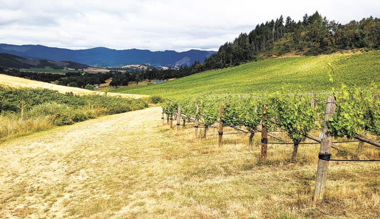 A hiking trail at Reustle-Prayer Rock Vineyards makes a good mountain biking trail. ##Photo courtesy of Reustle-Prayer Rock Vineyards