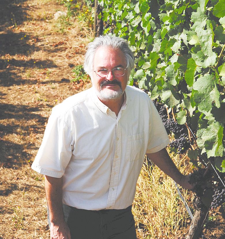 President of Lumos Wine Company Dai Crisp standing in a vineyard. ## Photo provided by Lumos Wine Company
