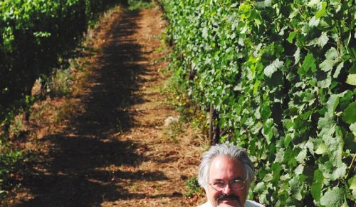 Standing among grapevines, Dai Crisp managed Temperance Hill Vineyard for 26 years. ## Photo provided by Lumos Wine Company