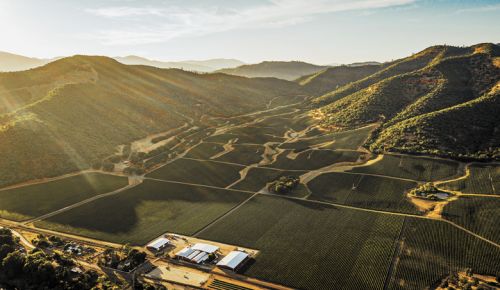 Aerial view of Del Rio Vineyard Estate, looking northwest.##Photo provided