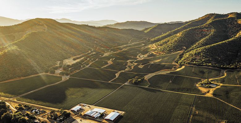 Aerial view of Del Rio Vineyard Estate, looking northwest.##Photo provided