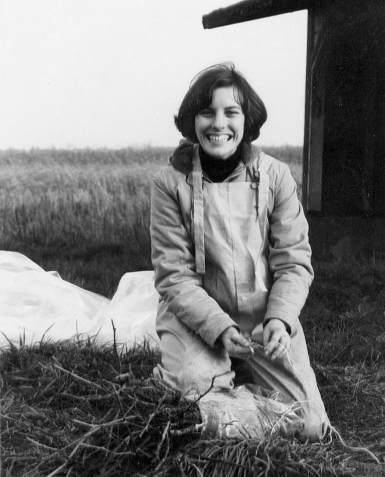 Owner Diana Lett transplants vines at The Eyrie Vineyards in the fall of 1966. ## Photo courtesy of The Eyrie Vineyards and Jason Lett Owner Diana Lett transplants vines at The Eyrie Vineyards in the fall of 1966. ## Photo courtesy of The Eyrie Vineyards and Jason Lett