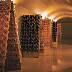 A glimpse into the cellar at Domaine Willamette, devoted entirely to sparkling wine. ##photo by Zack McKinley/Sproutbox