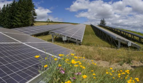 Domaine Drouhin Oregon was one of the first Oregon wineries to install solar panels.  Photo by Andrea Johnson