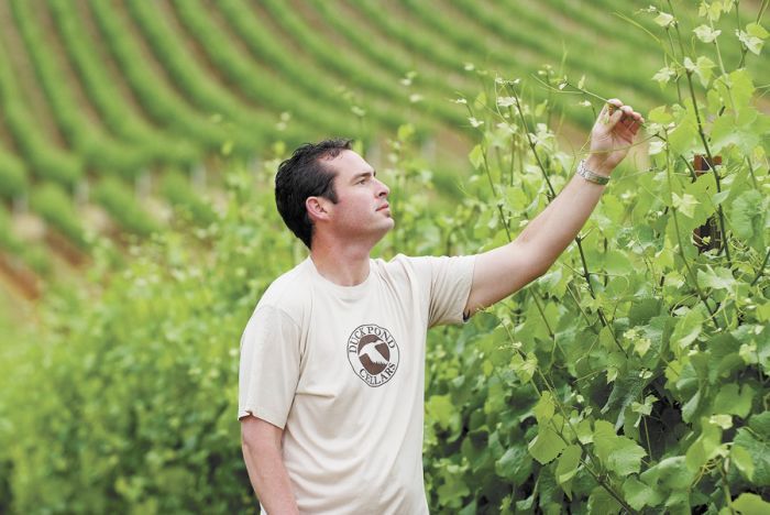 Winemaker Mark Chargin checks vines at one of the winery’s many vineyards. Photo provided. Winemaker Mark Chargin checks vines at one of the winery’s many vineyards. Photo provided.