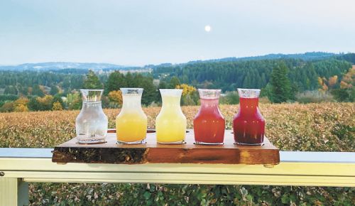 Raptor Ridge Winery's alcohol-free Honeybee Lemonade tasting. ##Photo provided