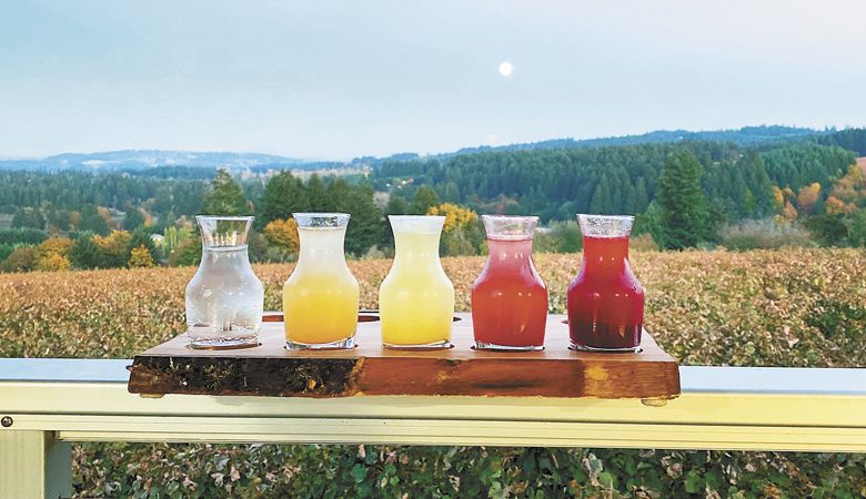 Raptor Ridge Winery's alcohol-free Honeybee Lemonade tasting. ##Photo provided