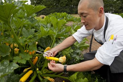 Sunny Jin, executive chef
at JORY at The Allison Inn
& Spa, picks fresh squash
blossoms at the Newberg
restaurant’s organic garden.