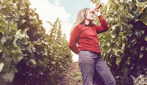 Elk Cove s Pat Campbell using a spectrometer to measure grape brix in the vineyard. Photo taken in the late 1970s. ## Photo provided by Elk Cove Vineyards