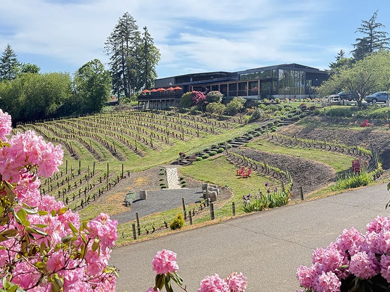 Spring at Elk Cove Vineyards. ## Photo by Luis Romero Spring at Elk Cove Vineyards. ## Photo by Luis Romero