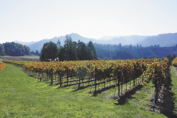 Brandborg Vineyards is one of several wineries that can now use Elkton Oregon, the state’s newest AVA, to market their wines. Brandborg Vineyards is one of several wineries that can now use Elkton Oregon, the state’s newest AVA, to market their wines.
