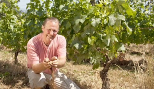 Russ Raney of Evesham Wood plays in the dirt at Le Puits Sec Vineyard in Salem. Russ Raney of Evesham Wood plays in the dirt at Le Puits Sec Vineyard in Salem.