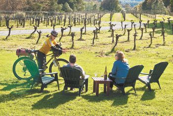 Charles enjoys a
Glass of wine and conversation at Wooldrige
Creek.