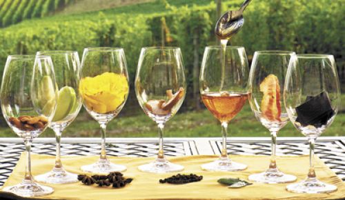 In these tasting glasses you’ll find a variety of flavors commonly found in different types of wine: almond, green apple, rose, mushroom, honey, bacon and chocolate; on the mat:
star anise, black pepper and sage.