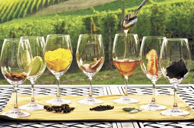 In these tasting glasses you’ll find a variety of flavors commonly found in different types of wine: almond, green apple, rose, mushroom, honey, bacon and chocolate; on the mat:
star anise, black pepper and sage.