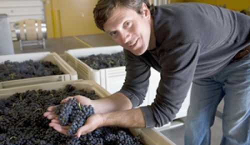 Drew Bledsoe during harvest at Artifex Wine Company in Walla Walla.