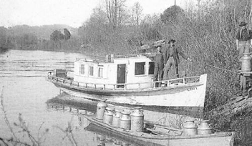 Milk delivery down the Coquille River in 1909. Photo taken from “The Dairy Industry in America,” published by Dairy & Ice
Cream Field and Books for Industry, 1976.