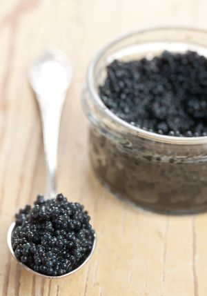 Osetra Caviar Osetra Caviar