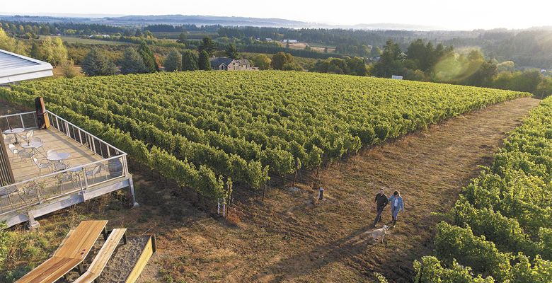 Scott and Annie Shull walk 
Raptor Ridge Vineyard, located in the soon-to-be Laurelwood AVA. ##Photo by Andrea Johnson