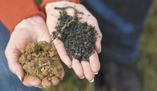 Carol Girard of Benton-Lane, located in the proposed AVA of Lower Long Tom, holds Bellpine soil (left) and compost made from grape pomace. ##Photo by Andrea Johnson