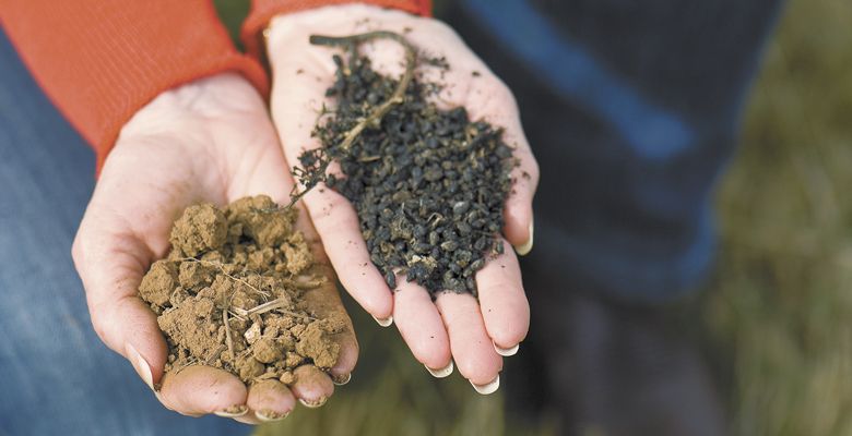 Carol Girard of Benton-Lane, located in the proposed AVA of Lower Long Tom, holds Bellpine soil (left) and compost made from grape pomace. ##Photo by Andrea Johnson