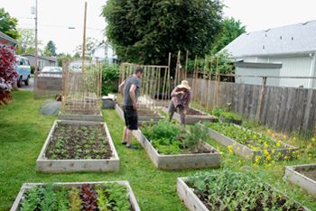 Bar Avignon co-owner Nancy Hunt (right) and Rodney Bender, a professional gardener at Broken Fence Garden. Bar Avignon co-owner Nancy Hunt (right) and Rodney Bender, a professional gardener at Broken Fence Garden.