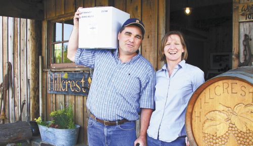 Dyson and Susan DeMara bought HillCrest Vineyard in 2003. ##Photo courtesy of HillCrest Vineyard