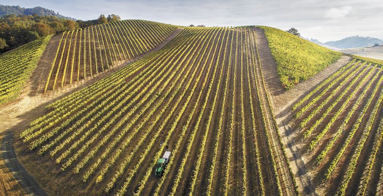 Abacela’s Faultline Vineyard, Umpqua Valley. ##Photo by Andrea Johnson
