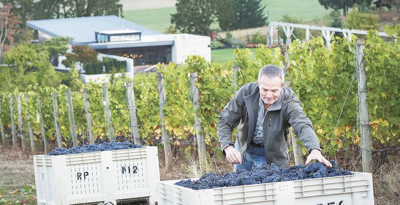 Results Partners’ Daniel Fey at Saffron Fields, Yamhill-Carlton ##Photo by Andrea Johnson