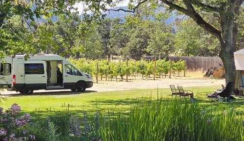 A person reading a book while overlooking a campervan and rows of grapevines. ## Photo provided by Harvest Hosts